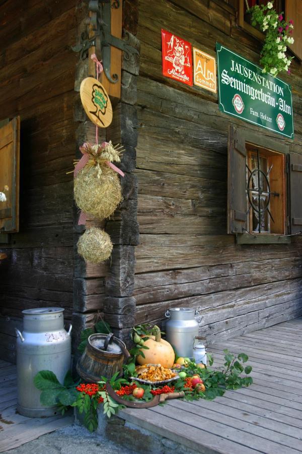 Bed and Breakfast Senninger Alm Hollersbach im Pinzgau Exterior foto